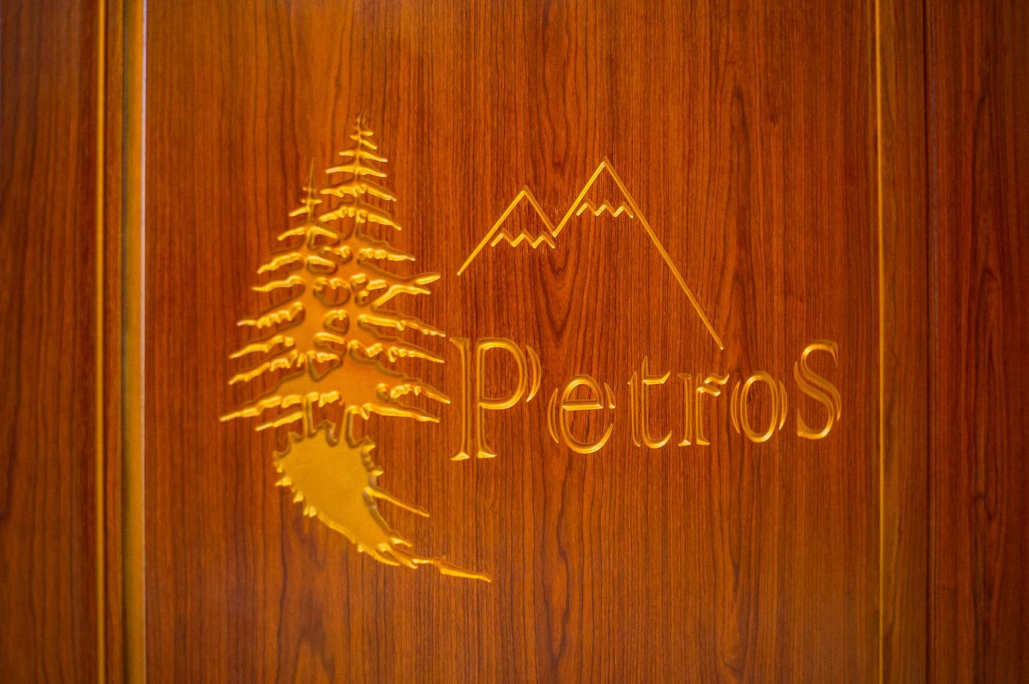 Petros Hotel Bukovel Rom bilde